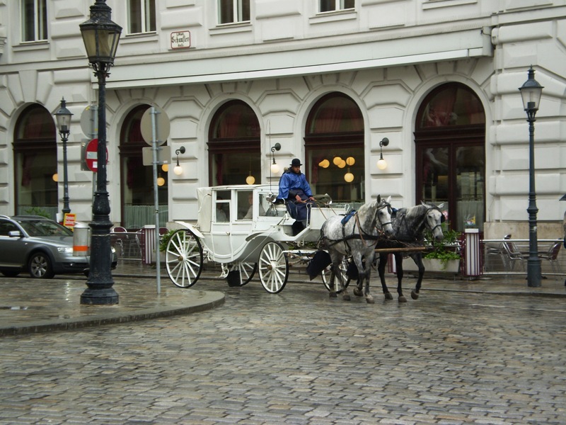 P5090489.JPG