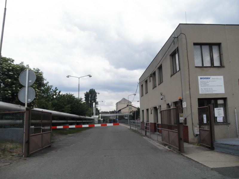 P5141784